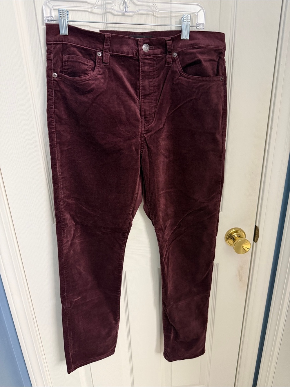 Banana Republic Women’s Velvet Pants in Deep Burgundy